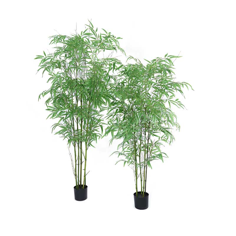 imitation bamboo plants